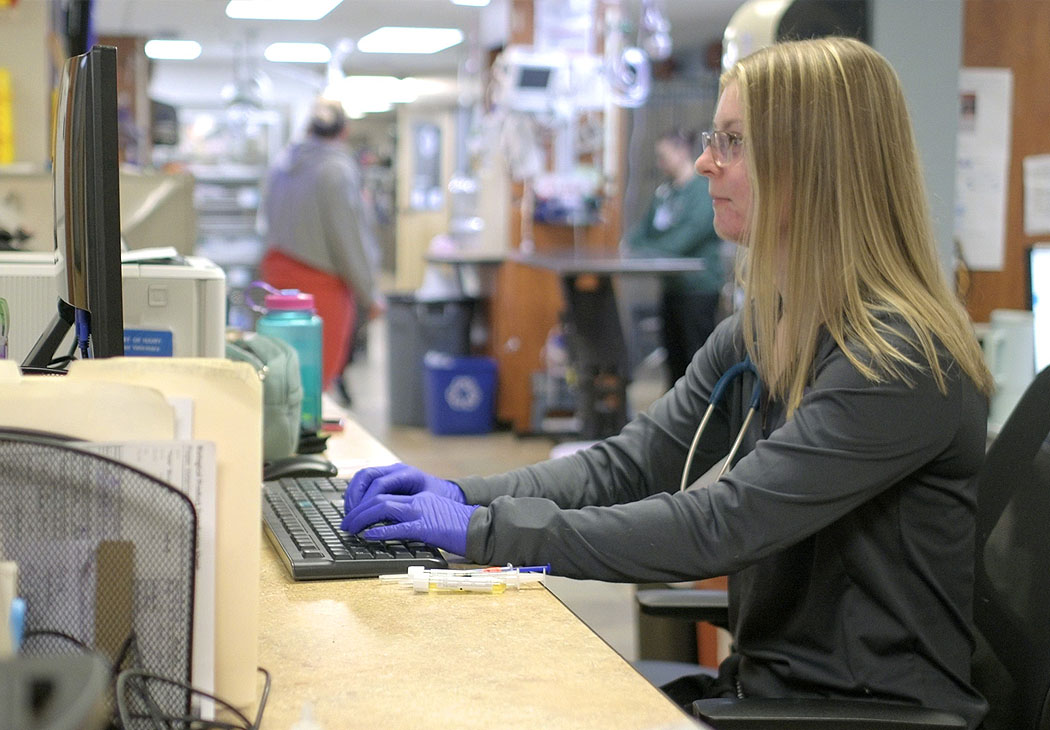 cove-animal-health-careers-place Veterinarians talking