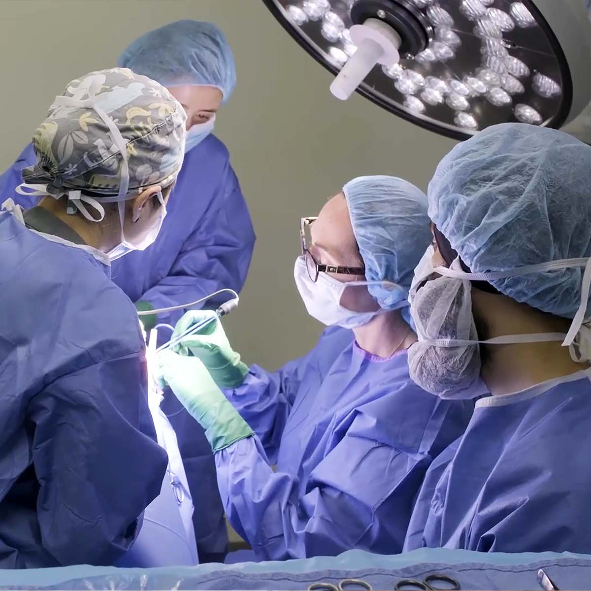 cove-animal-health-internship-opportunities-hero-mobile Veterinarian with cat