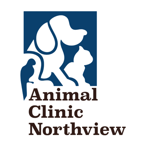 Animal Clinic Northview