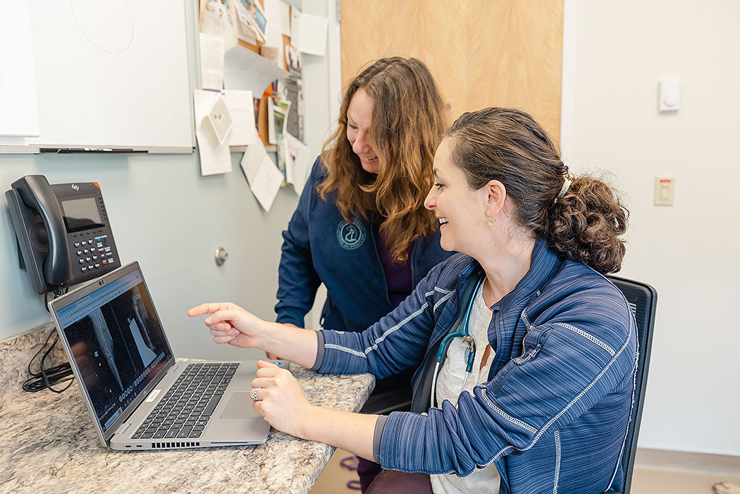 cove-animal-health-partnership-legacy Veterinarians reviewing X-rays