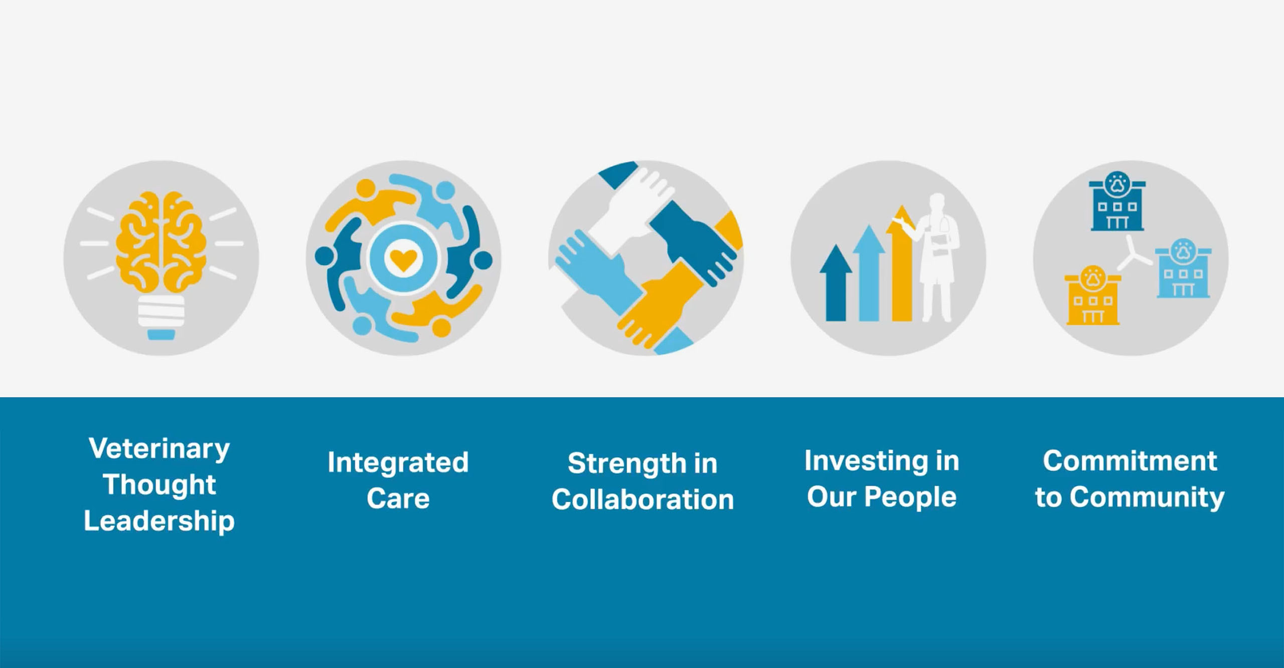 Veterinary Thought Leadership | Integrated Care | Strength in Collaboration | Investing in Our People | Commitment to Community