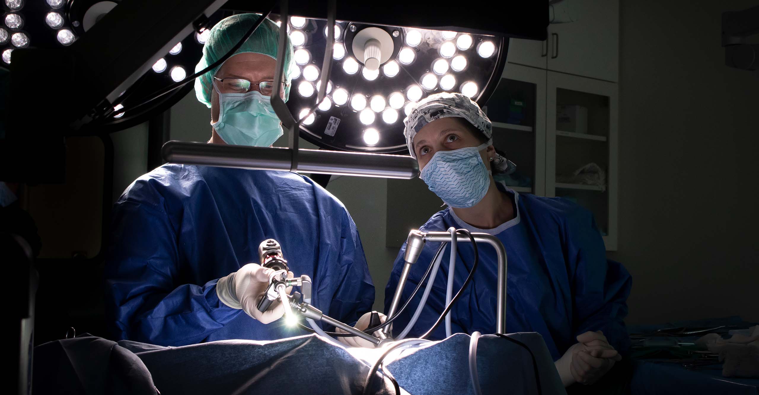 Male and female veterinarians performing surgery